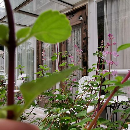 Shenzhen No'6 Garden Villa --French Window With Garden View,Close To Sea World &Shekou Ferry Port &K11 Ecoast &Subway Nearby ,Offer Western Food And Coffee &English Speaking With Tour Services Luaran gambar